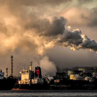 A factory plant is emitting pollution into the air. What are punitive damages? Environmental violations is one type. 